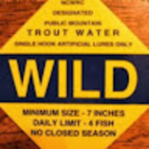 Meet your Posher, Ronnie